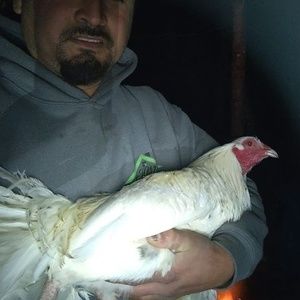 Meet your Posher, Omar